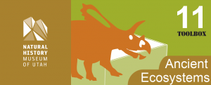 Ecosystems